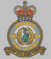 19 Squadron Royal Air Force T-shirt